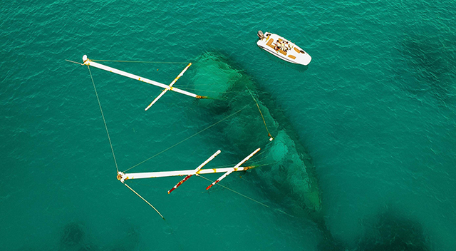 1564016148923141.jpg 15502079504225.jpg